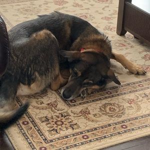 Meet your Posher, Cindy